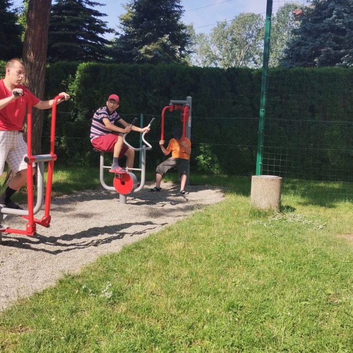 Uczestnicy ćwiczą na urządzeniach siłowni plenerowej w parku.
